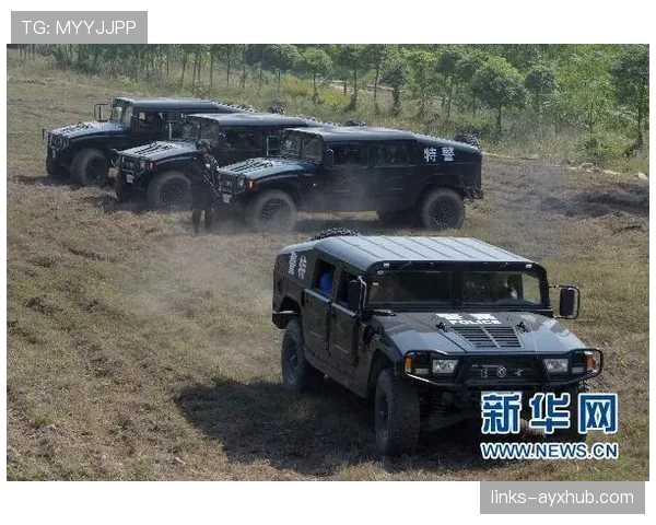 琼阿梅尼评价两极分化:战术适应性与表现稳定性解析 琼阿梅尼评价两极分化:战术适应性与表现稳定性解析
